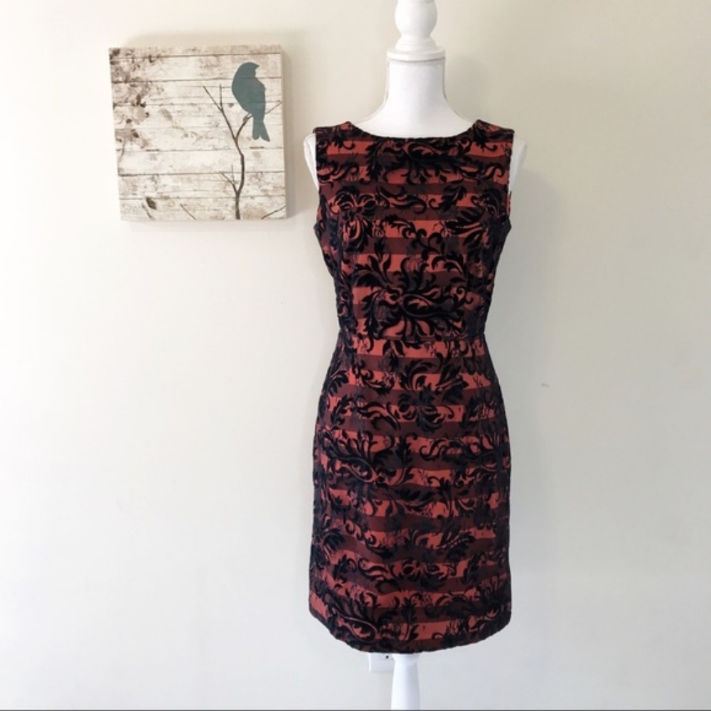 Cremieux Orange Black Velour Lace Overlay Dress